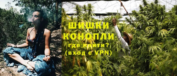 спайс Новодвинск